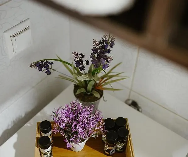 Apartament Le Petit Jardin #2 Wolos